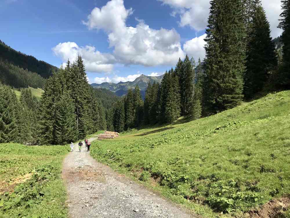 Zum Schluß geht es auf dem breiten Forstweg durch das Derrental zurück nach Baad