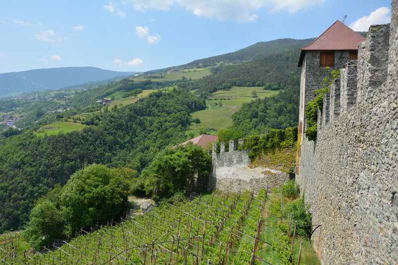 Auf dem Kloster Säben mit Kindern in Südtirol, inmitten der Weinberge