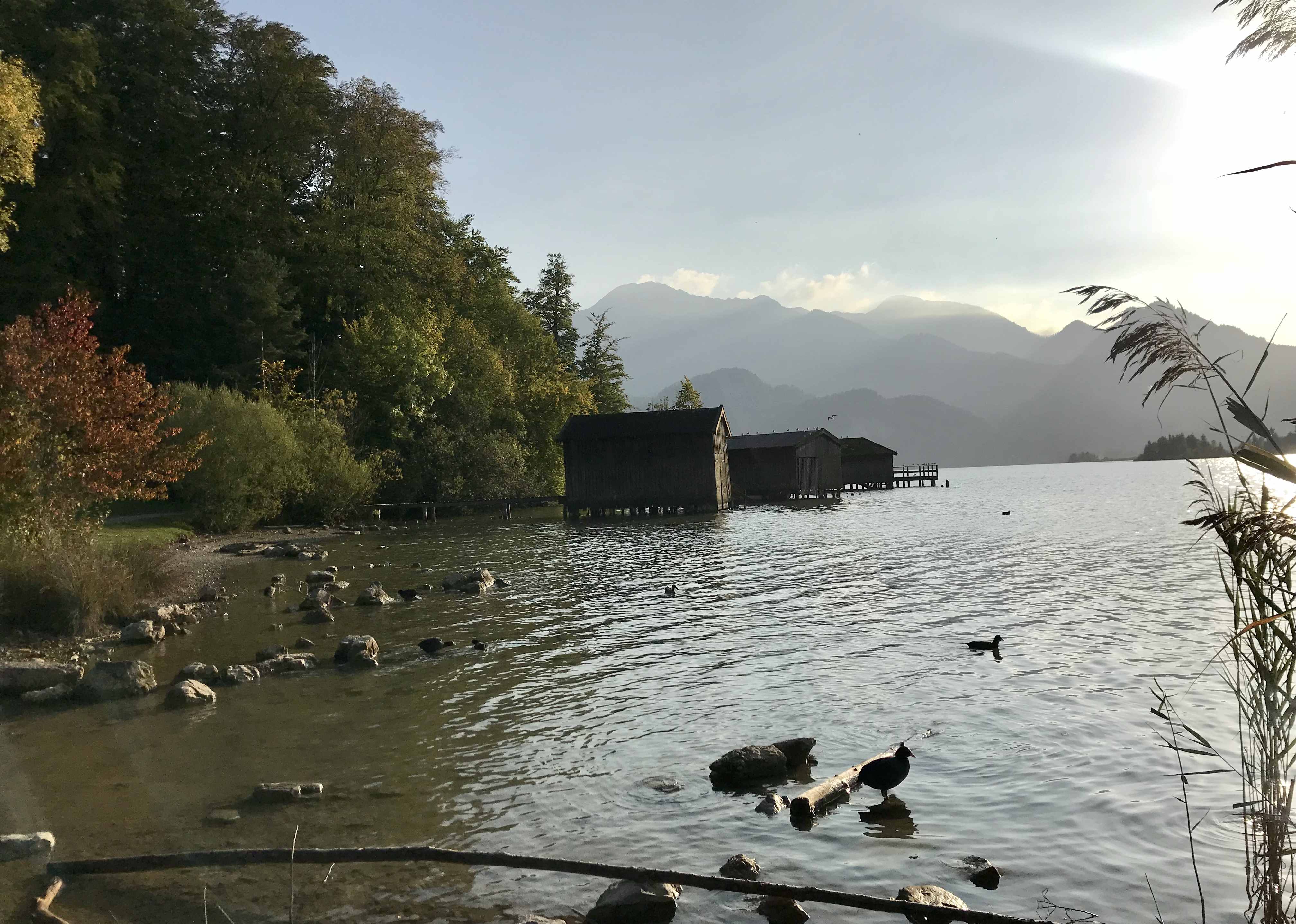 Familienurlaub Kochelsee - in bayerischer Bilderbuchkulisse!