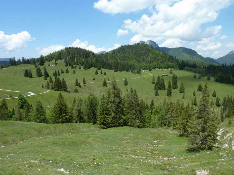 Die liebliche Almlandschaft bei der Königsalm Tegernsee 