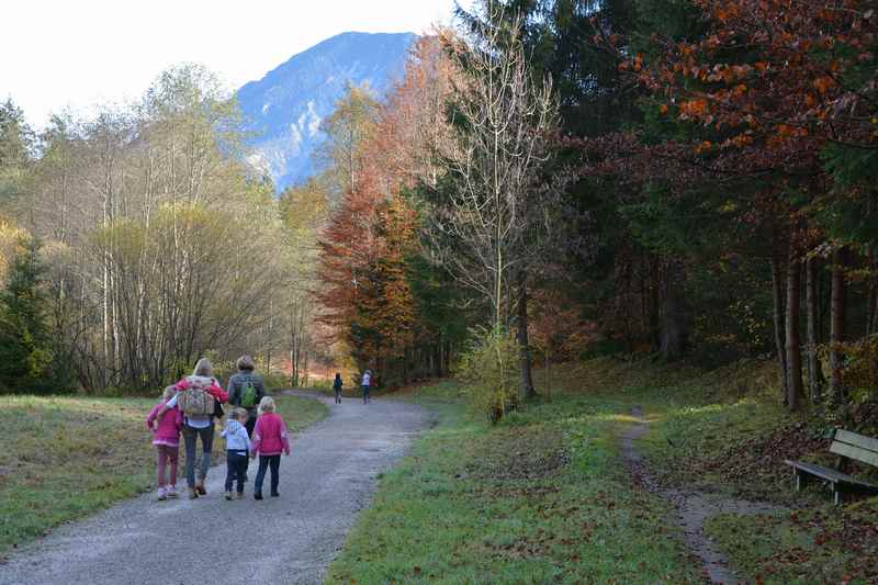 Auf dem breiten Kramerplateauweg wandern mit Kindern und Kinderwagen zum Schmölzer See