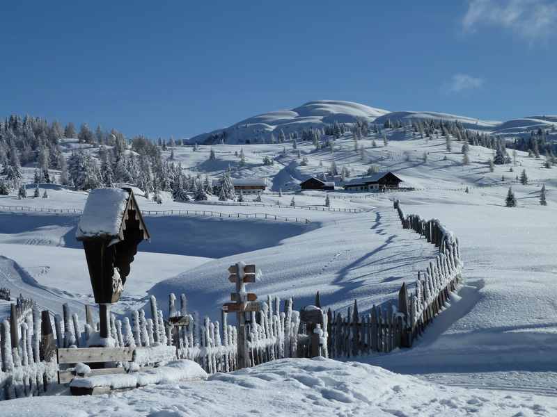 Lüsner Alm: Das Panorama über die Alm auf der Kreuzwiesenalm Rodelbahn in Südtirol 