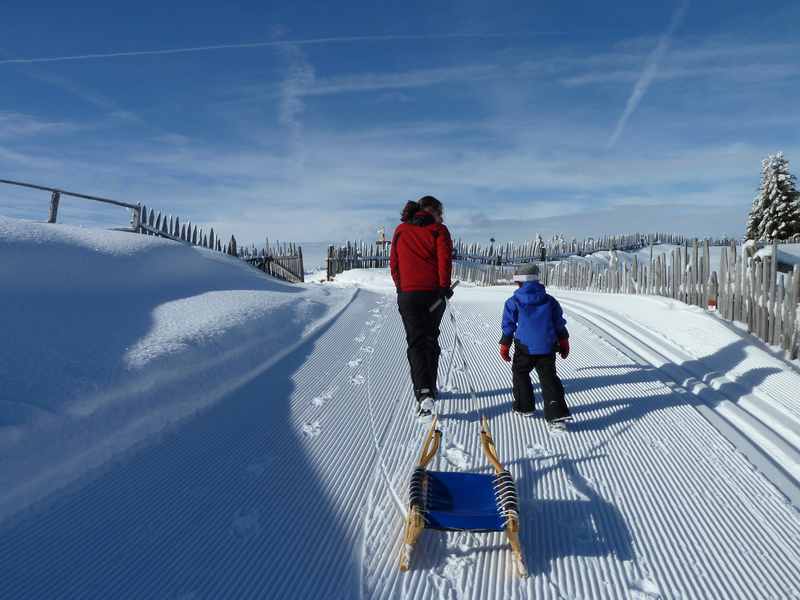 Lüsner Alm: Bei der Kreuzwiesenalm rodeln mit Kindern