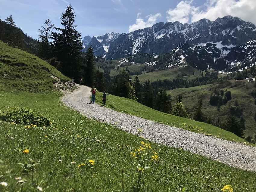 Kufstein wandern mit Kinderwagen - auf dem breiten Weg vom Brentenjoch zur Kaindlhütte