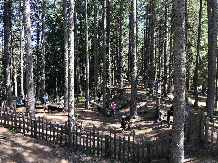 8000 Quadratmeter groß ist der eingezäunte Spielplatz im Wald am Glungezer