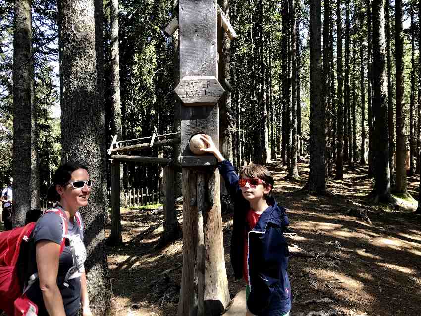 Das ist eine der großen Holzkugelbahnen im Kugelwald Glungezer, bei Hall in Tirol