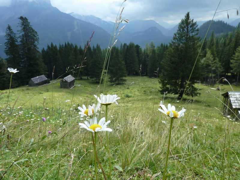 In Bad Aussee zur Lambacher Hütte wandern mit Kindern