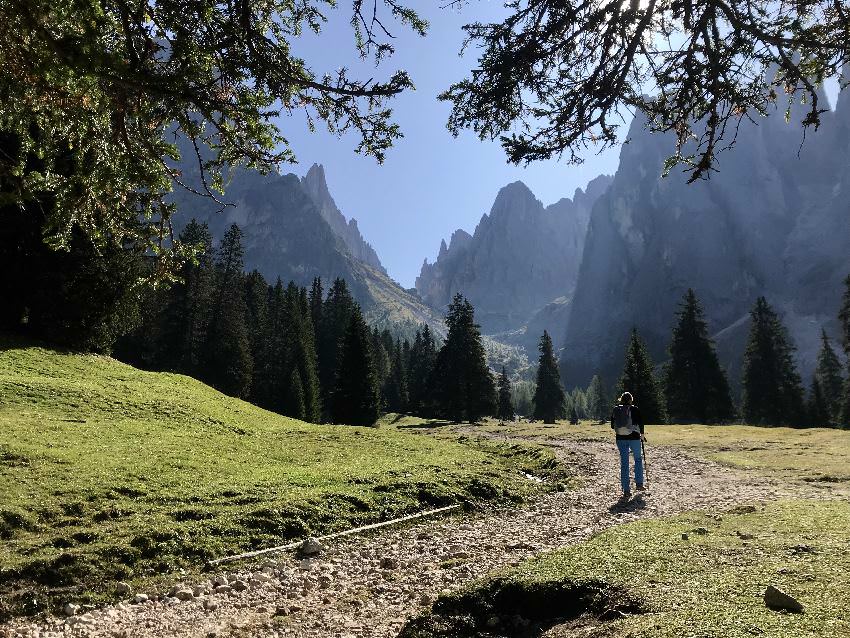 Anfangs musst du Richtung Langkofelhütte auf einer Forststraße wandern