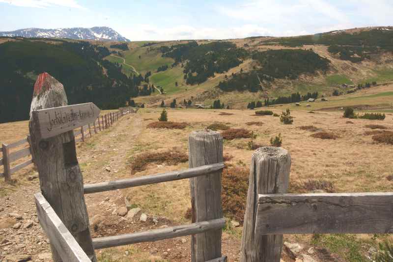 Blick über die Latzfonser Alm auf dem Wanderweg zum Latzfonser Kreuz