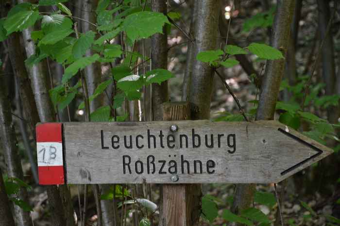 Hierhin wollen wir. Die Schilder zeigen den Weg zur Leuchtenburg - leicht zu wandern mit Kindern