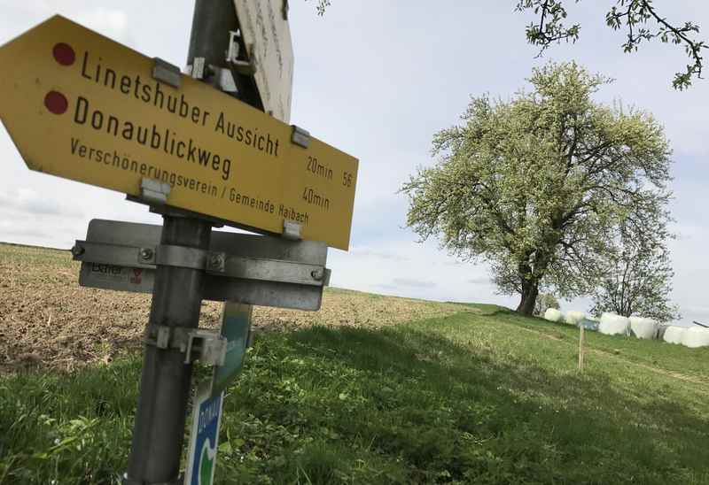 Als Rundwanderung über die Linetshuber Aussicht wandern 