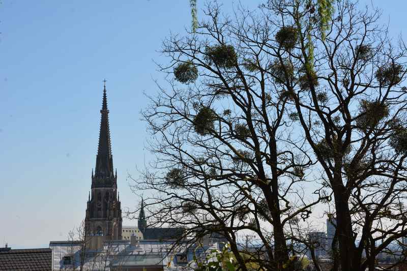 Von hier oben gibt es diesen schönen Blick auf den Linzer Dom