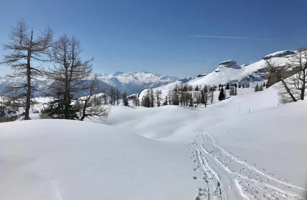  Loser Skitour: Das ist der Blick zurück zur Bräuningalm und den Loser  