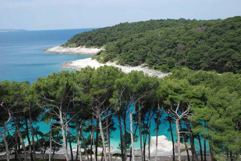 Mali Losinj wandern: Ein Wanderweg führt an der Küste entlang durch den Pinienwald von Bucht zu Bucht 