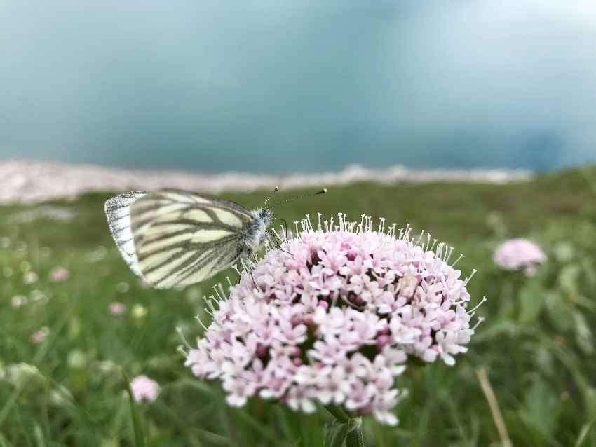 Lünersee Österreich - viel Natur erleben und rund um den Lünersee wandern