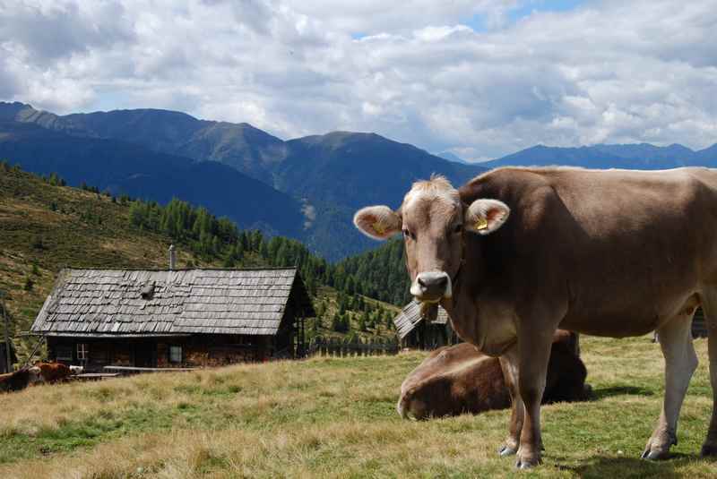 Auf der Lüsner Alm wandern mit Kindern zum Jakobsstöckl