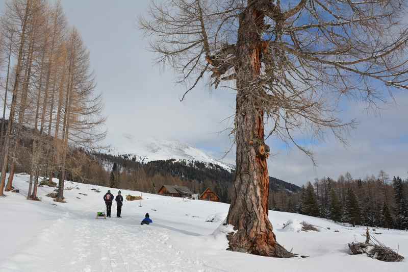  So schön ist im Lungau das Rodeln mit Kindern bei der Prodingerhütte