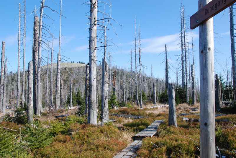 Vom Lusenparkplatz auf den Lusen wandern mit Kindern im Bayerischen Wald