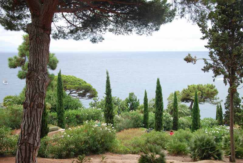 Botanische Vielfalt im botanischen Garten Marimurtra - mit Blick auf das Meer