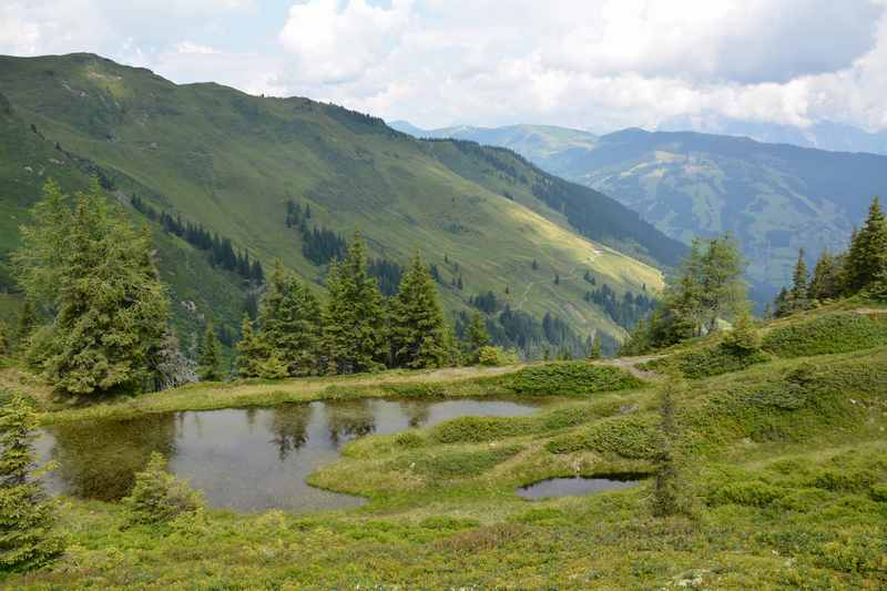 Entlang der Moorseen zum Maurerkogel wandern in Zell am See