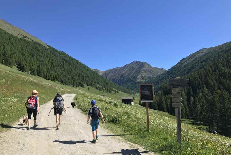 Der breite Wanderweg im Altfasstal - ideal als Kinderwagen Wanderung in Südtirol - zur Wieserhütte 