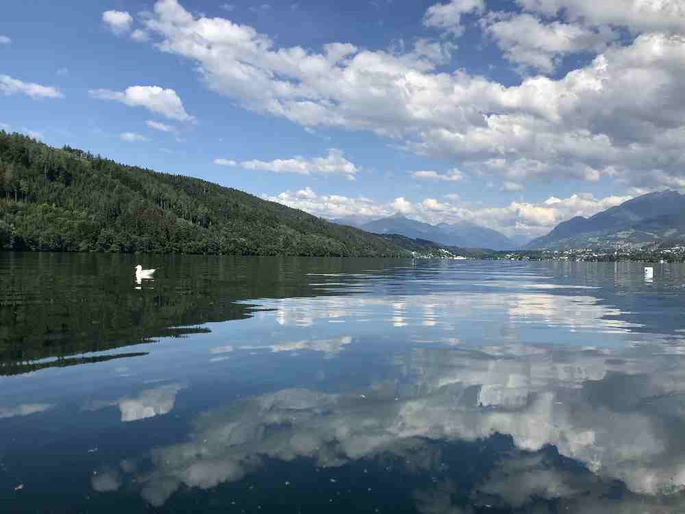 Möwe Moritz folgt uns in sicherer Entfernung im Angelurlaub mit Kindern