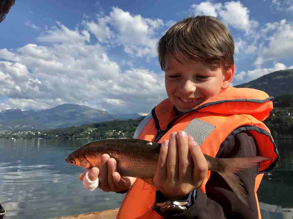 "Mama, wie ist das mit den Fischen?" - die Antwort gibt´s auf der wöchentlichen Fischtour.