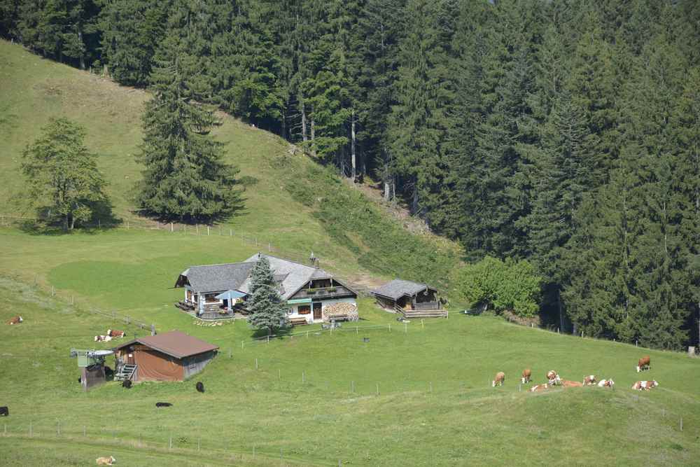 Das ist die Mittereggalm im Salzkammergut - auf halber Strecke zur Oberwiesalm