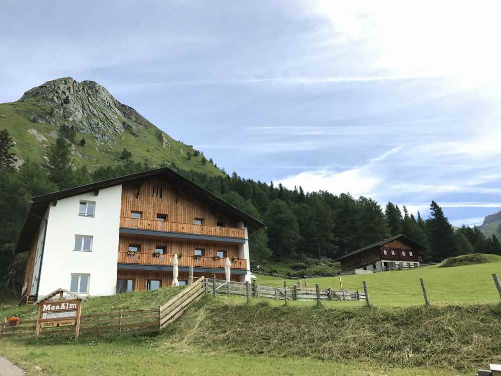 Wir erreichen über den Wandersteig die Moa Alm - von der Klamm ist leider nichts zu sehen