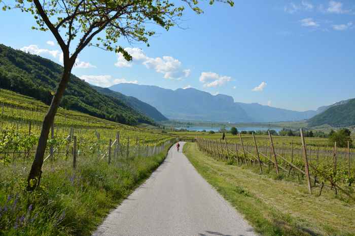 Radtour Kaltern Montiggler See: Die letzten Meter zum Kalterer See 