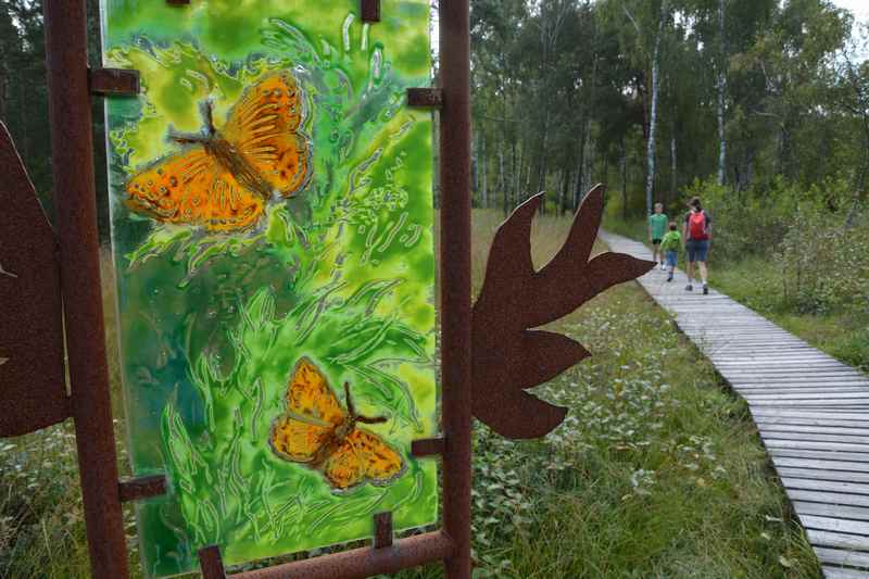  Lamer Winkel -  Der Moorlehrpfad Arrach, Natur hautnah im Bayerischen Wald