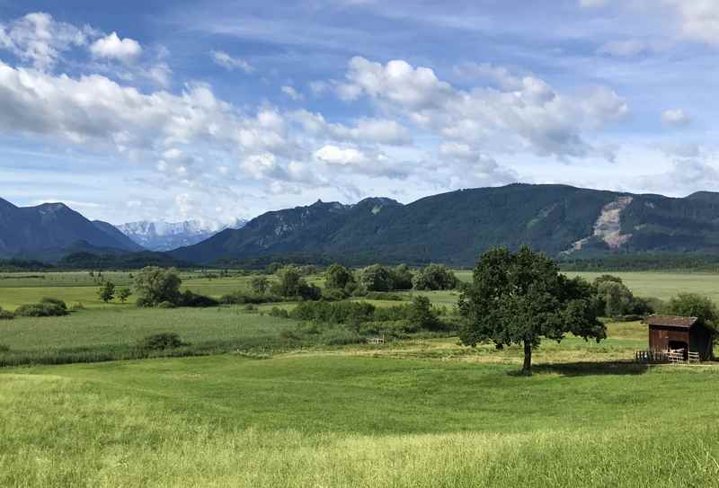 Sooo schön: Unser Murnauer Moos Ausflug mit Kindern