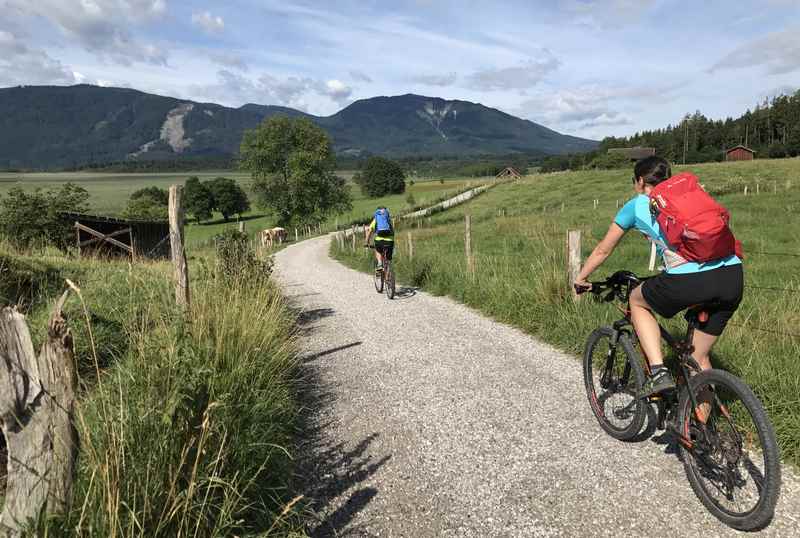 Murnau mit Kindern: Der nächste Tag: Mit dem Fahrrad geht es ins Murnauer Moos