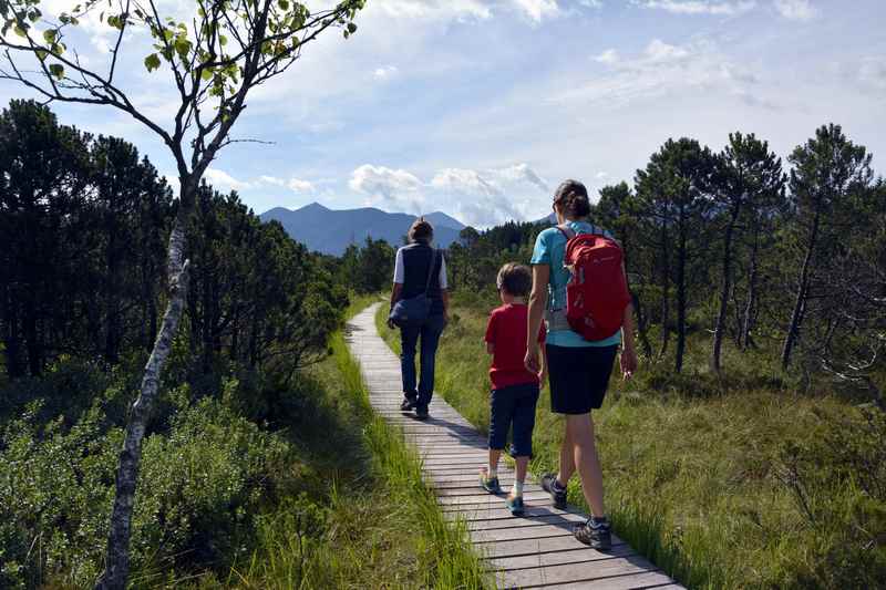 Auf dem bekannten Bohlenweg durch das Murnauer Moos wandern