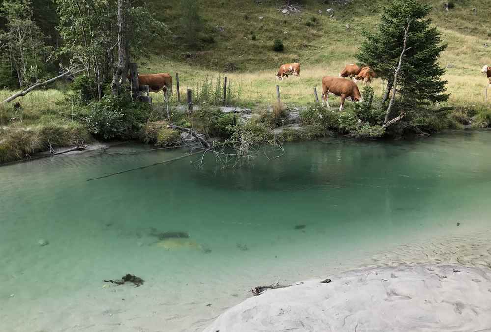 Wandern mit Kindern in Kärnten im Nationalpark Hohe Tauern in Mallnitz: Sandstrand am glasklaren Bergbach