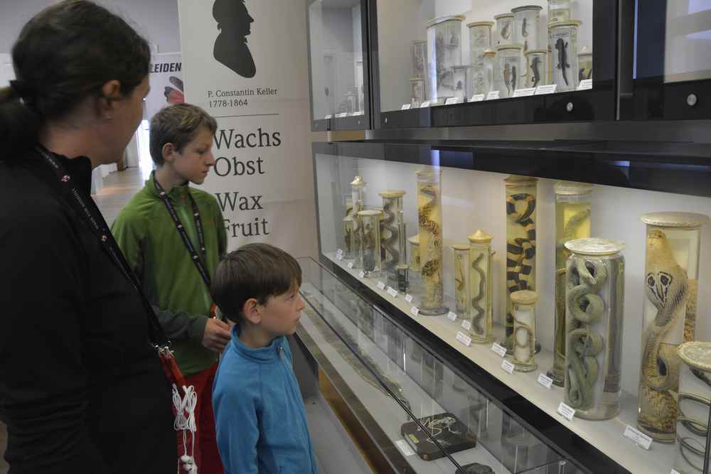 Wir stehen bei den ausgestellten Schlangen im naturhistorischen Museum