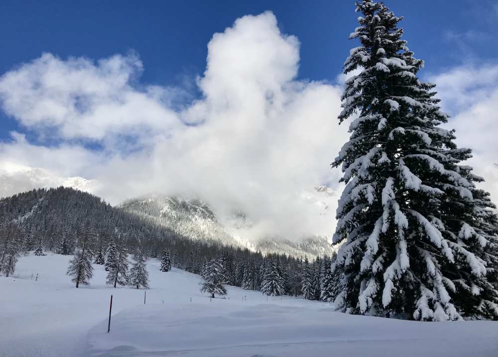 Skigebiet Niederösterreich: Tipps für den Winterurlaub in Niederösterreich mit Kindern 