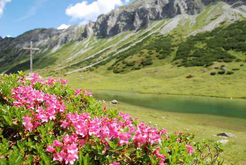Am Oberhüttensee wandern - tolle Wanderung in Österreich