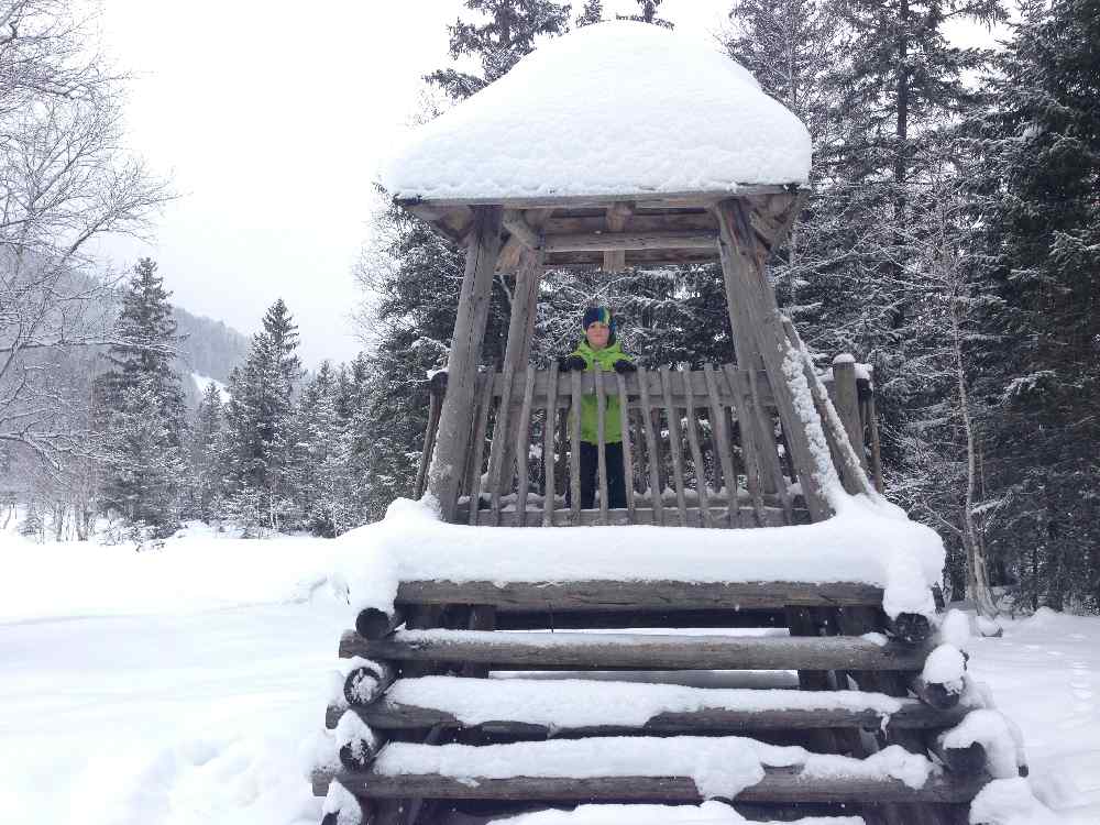  Winterwandern Oberjoch - mit Besteigung vom Aussichtsturm im Moor 