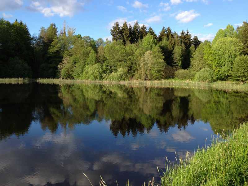 In der Oberpfalz mit Kindern, im Land der "tausend Teiche" angeln und fischen wie in Schweden 