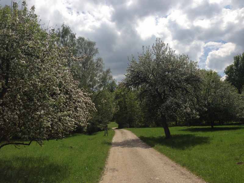 Durch die Streuobstwiesen in der Oberpfalz radfahren mit Kindern