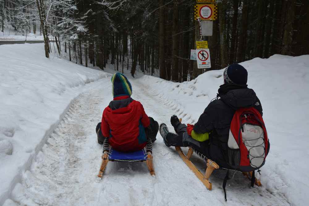 Die Rodelbahn Obersalzberg: Von der Busstation hinunter nach Berchtesgaden schlittenfahren - so geht Rodeln Obersalzberg