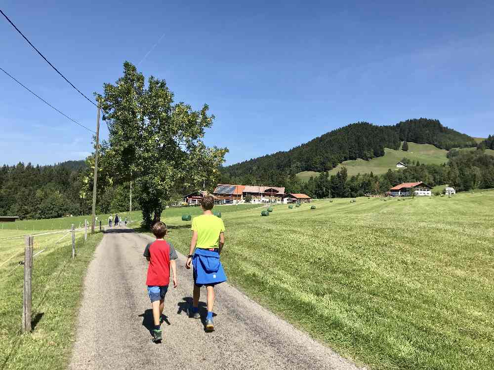 Buchenegger Wasserfälle mit Kindern: Über die landschaflich aussichtsreiche Teerstraße wandern wir zurück zur Hündle - Talstation 