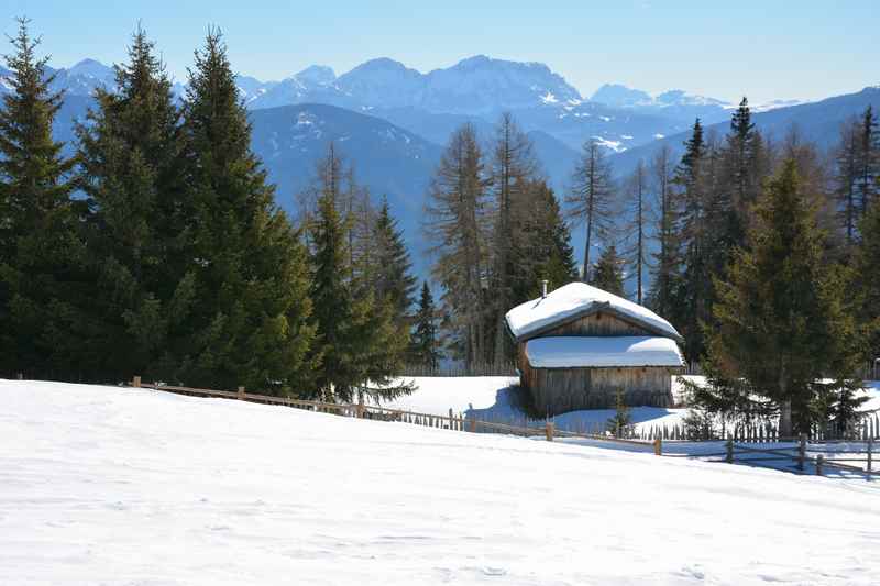 Die Pertinger Alm Rodelbahn in Südtirol bietet einen tollen Blick auf die Dolomiten