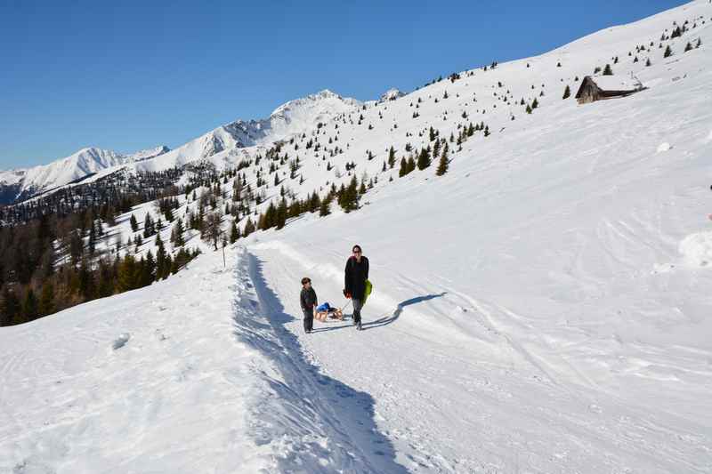 Oben auf dem Hochleger der Pertinger Alm Rodelbahn in den Pfunderer Bergen