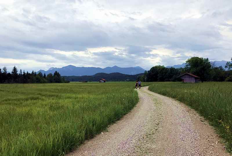 Mit dem Fahrrad oder zu Fuß durch das Obernacher Moos 