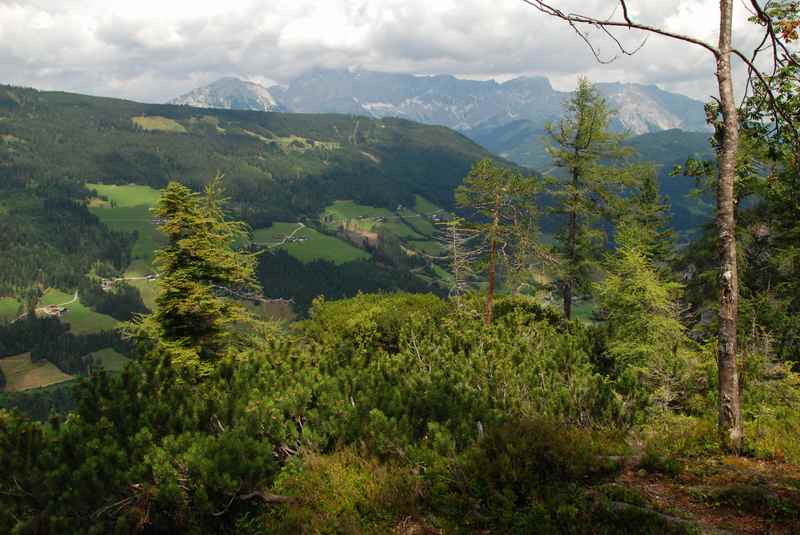 Mit toller Aussicht auf das Dachsteingebirge beim Radstadt wandern mit Kindern