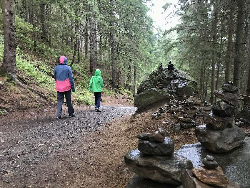 Auf dem breiten Weg wandern wir durch den Wald zurück nach unten zum Ausgangspunkt