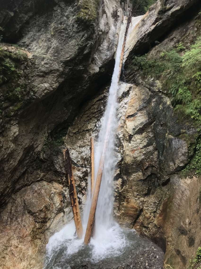 Meterlange Baumstämme im Wasserfall der Raggaschlucht