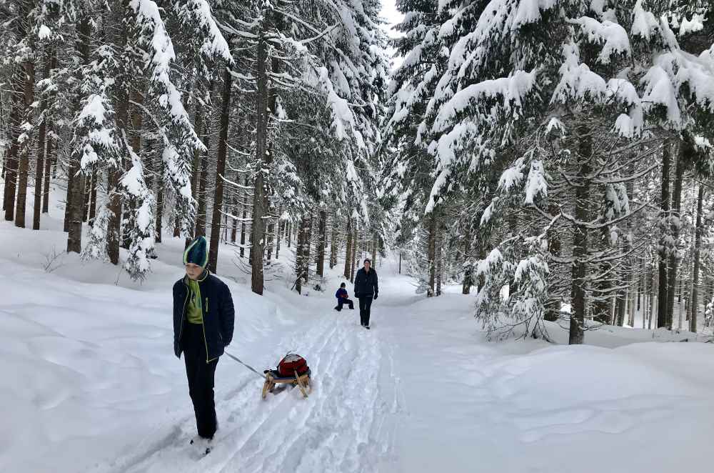 Weissensee rodeln - Stimmungsvoll ist es durch den verschneiten Winterwald, aber auch anstrengend. 